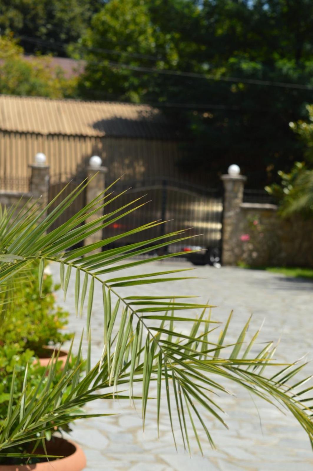 Boutique Hotel Argo Κουτάισι Εξωτερικό φωτογραφία