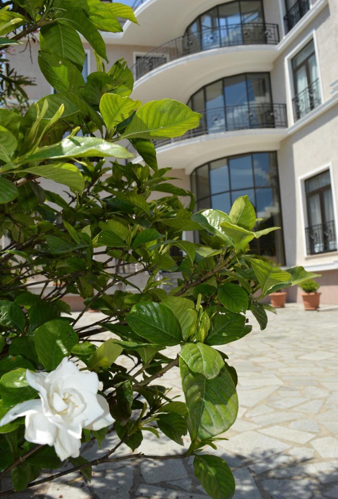 Boutique Hotel Argo Κουτάισι Εξωτερικό φωτογραφία