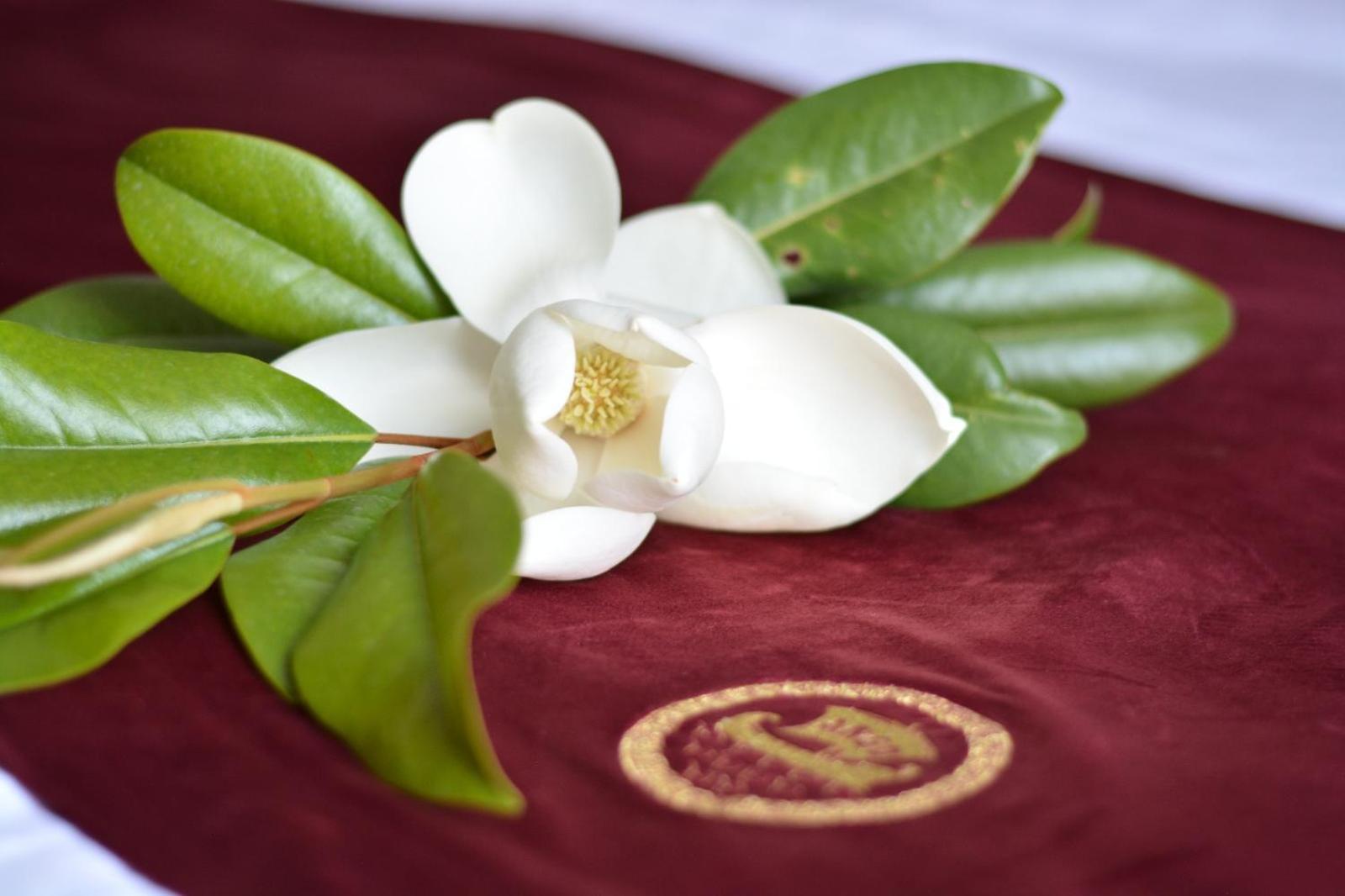 Boutique Hotel Argo Κουτάισι Εξωτερικό φωτογραφία